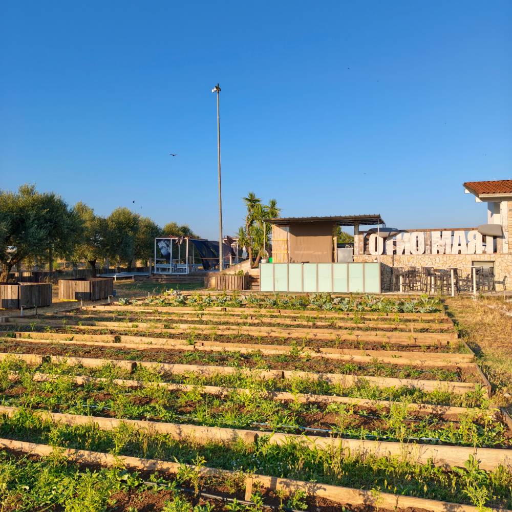 Azienda agricola Altamura: scopri APN A Piedi Nudi